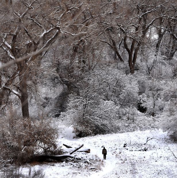 4. Two Moon Park
